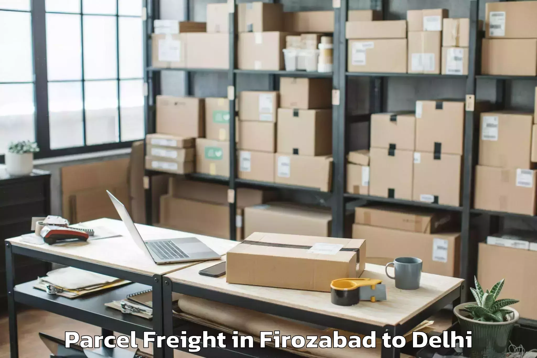 Top Firozabad to Pacific D21 Mall Parcel Freight Available